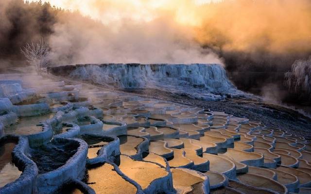 Tens of white colored curved pools of water next to each other over a hill, with a foggy scene of trees due to the rising steam of the hot water pools.